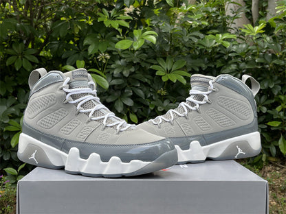 Air Jordan 9