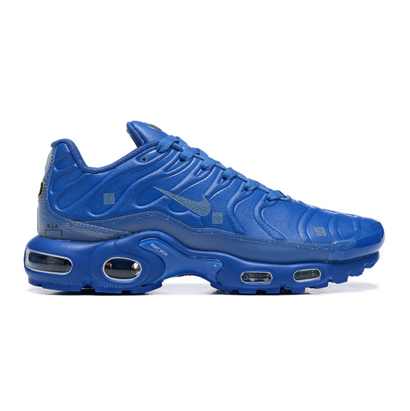 Nike Air Max Plus A-COLD-WALL