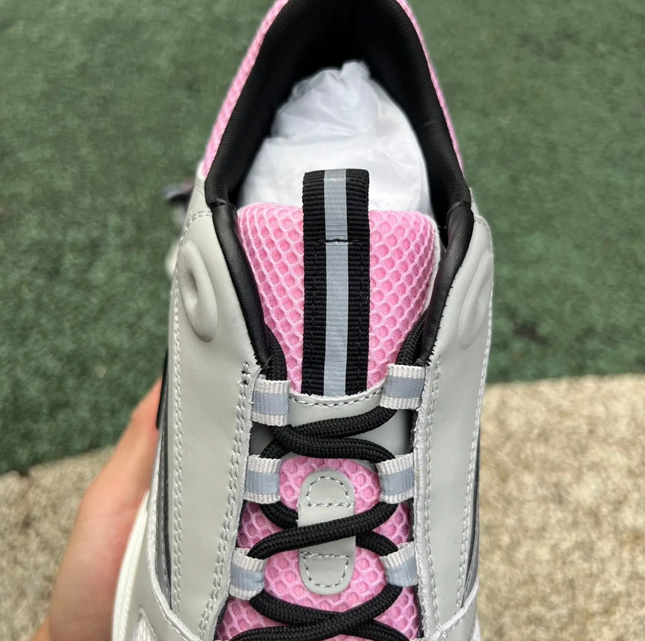 Dior B22