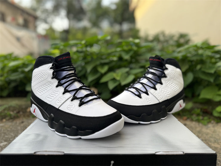 Air Jordan 9