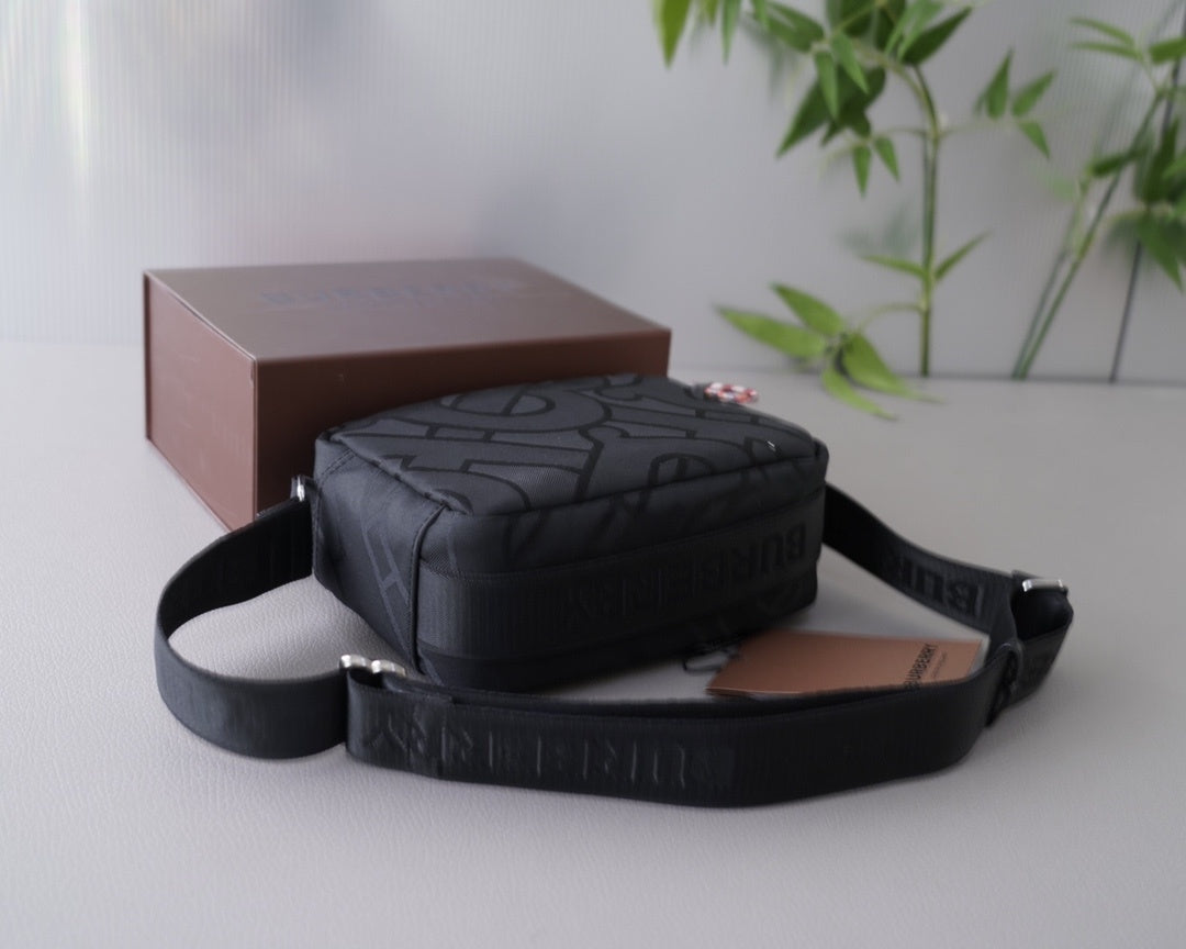 BAG´s Burberry 1.1