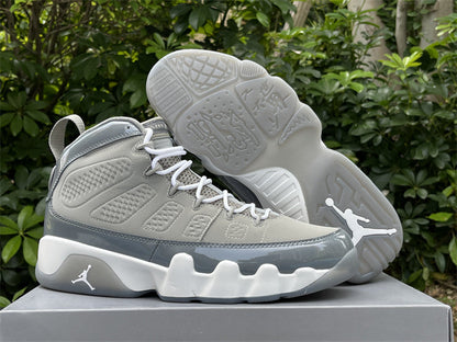 Air Jordan 9