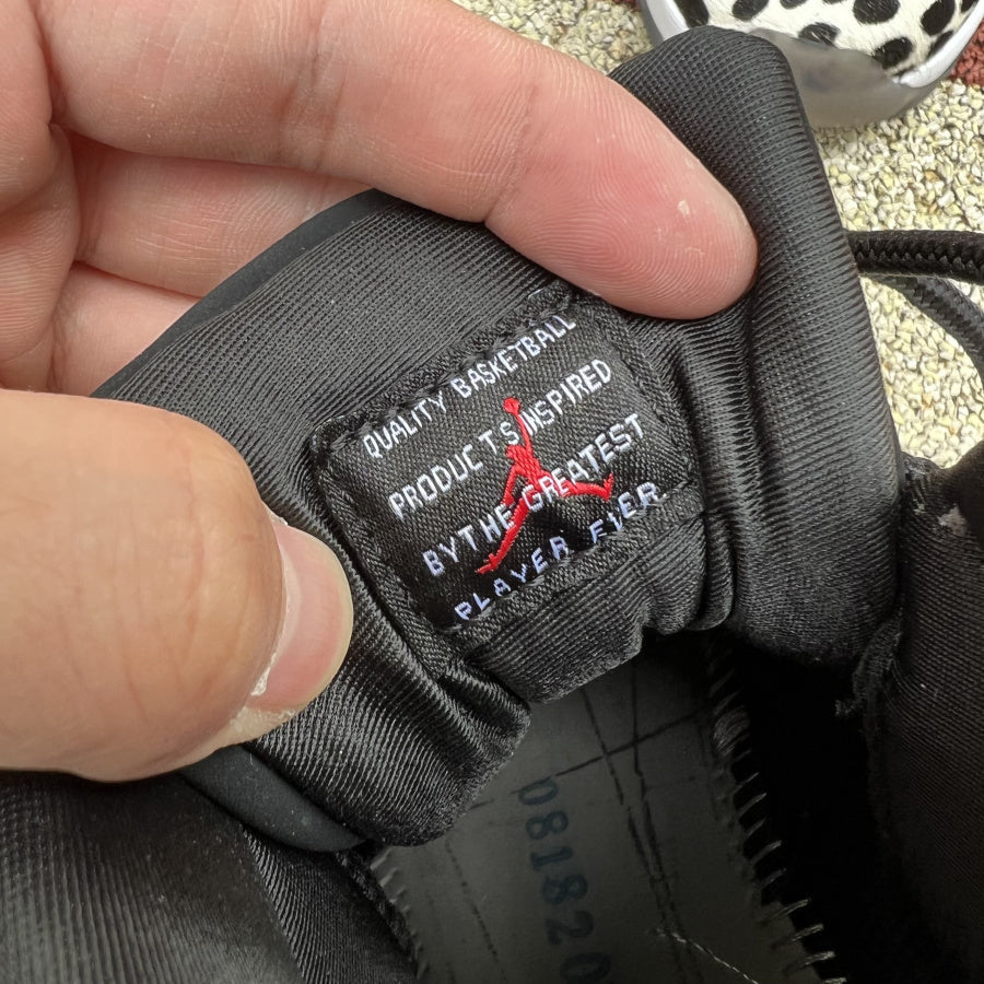 Air Jordan 11
