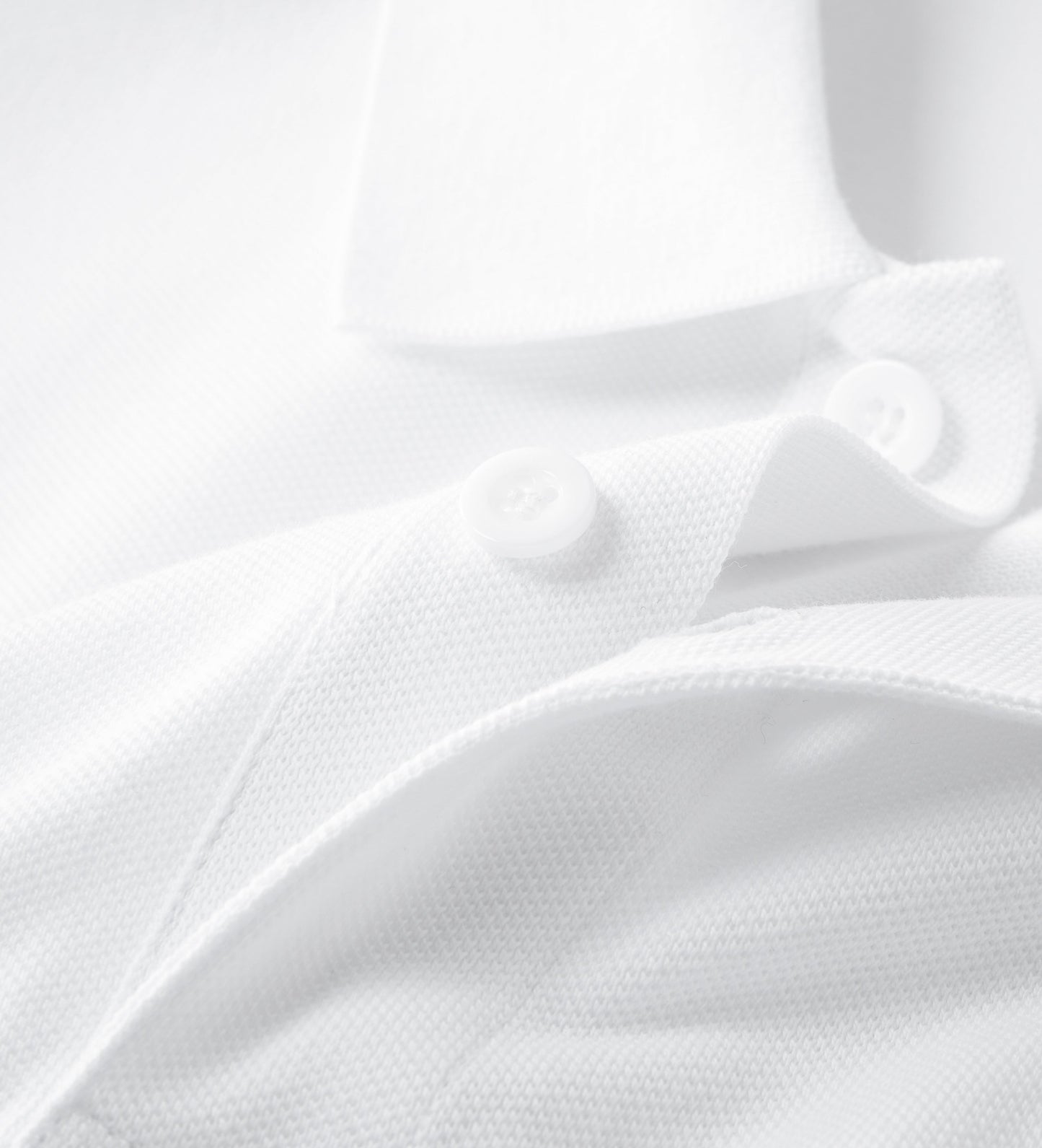 Polo BAPE