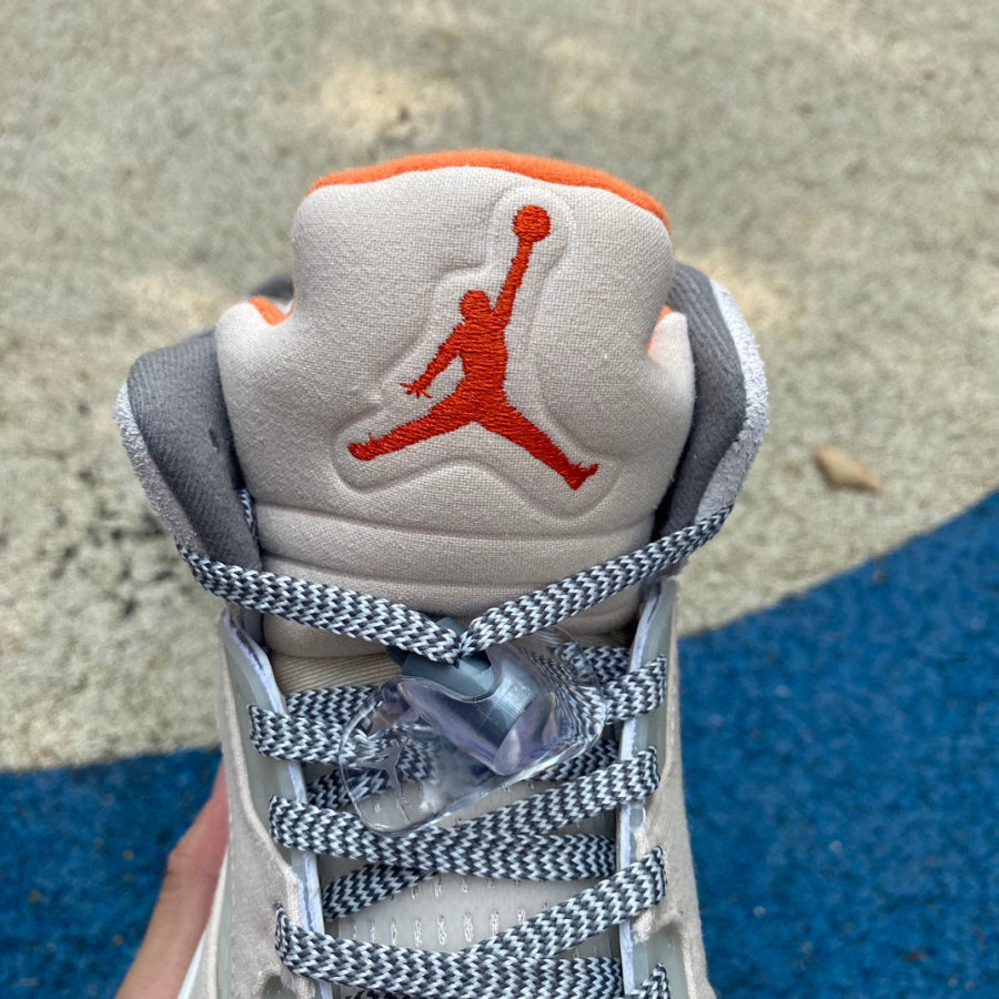 Air Jordan 5