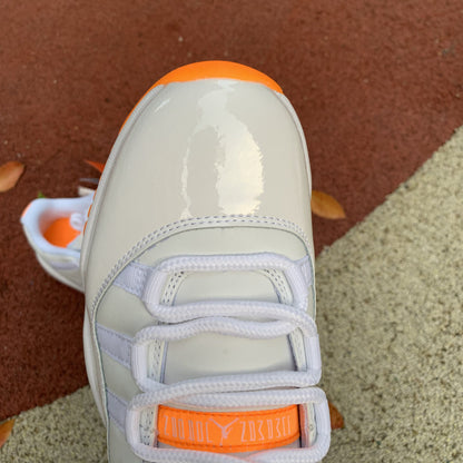 Air Jordan 11