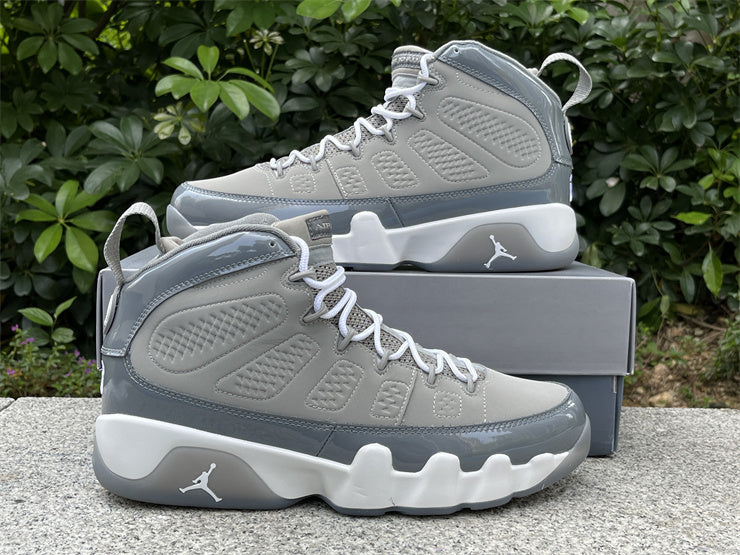 Air Jordan 9