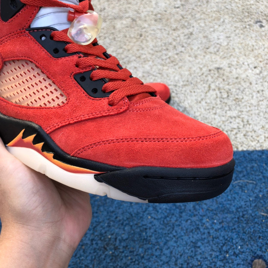 Air Jordan 5