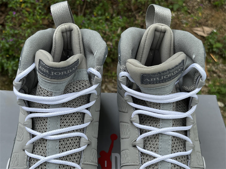 Air Jordan 9