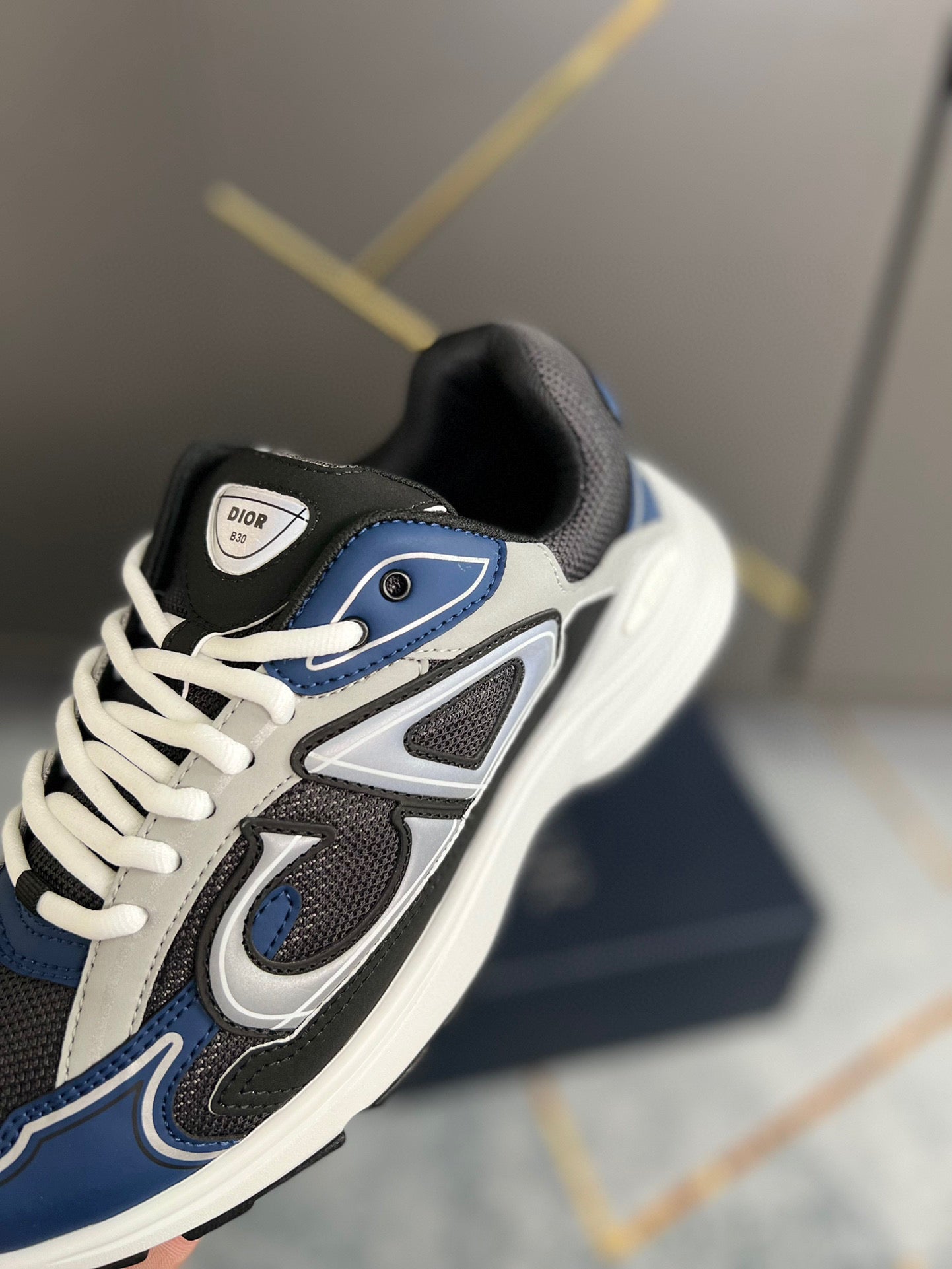 Dior B30