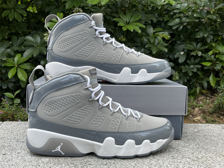 Air Jordan 9