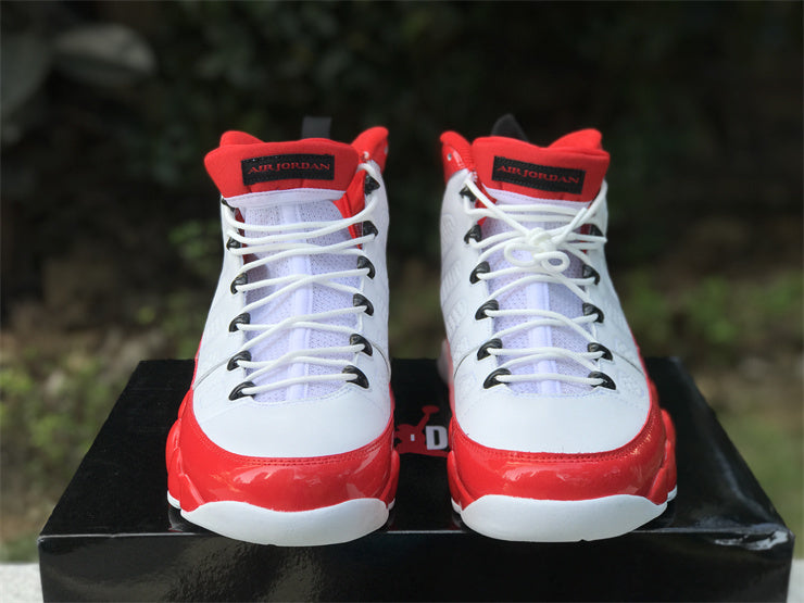 Air Jordan 9