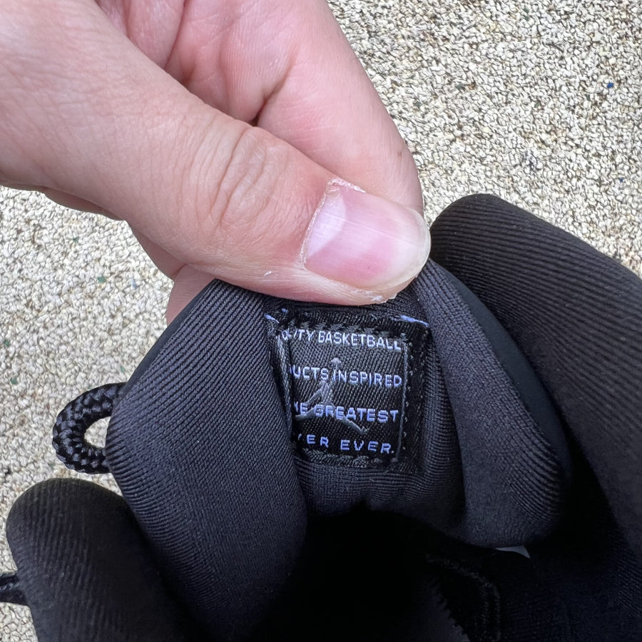 Air Jordan 11