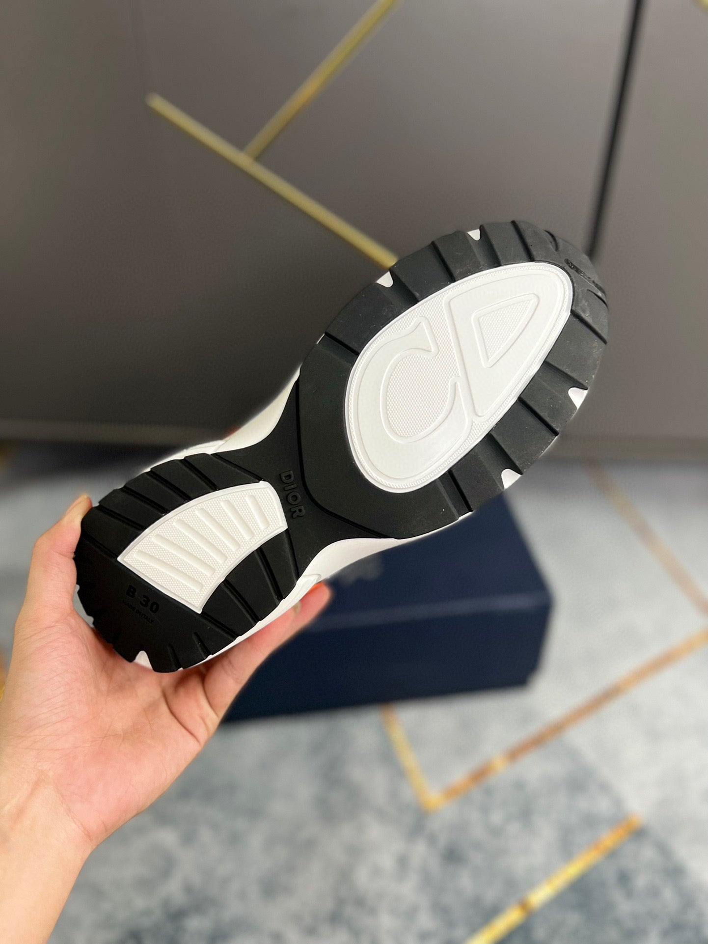 Dior B30